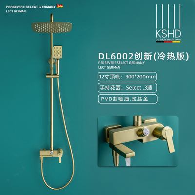 PVD拉丝金-冷热花洒套装DL6002