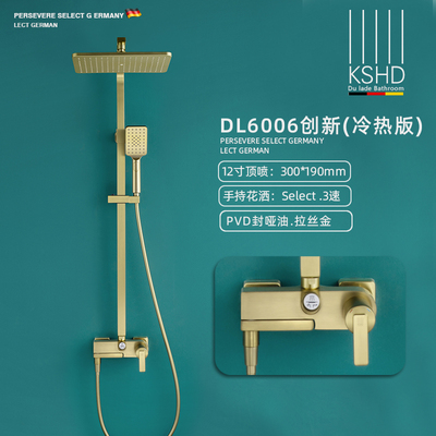 PVD拉丝金-冷热花洒套装DL6006