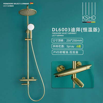 PVD拉丝金-恒温花洒套装DL6003