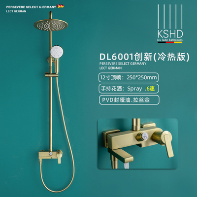 PVD拉丝金-冷热花洒套装DL6001