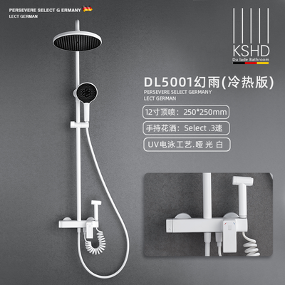 UV哑光白-冷热花洒套装DL5001